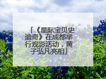 《星际宝贝史迪奇》在成都举行观影活动，黄子弘凡亮相