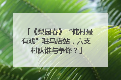 《梨园春》“俺村最有戏”驻马店站，六支村队谁与争锋？