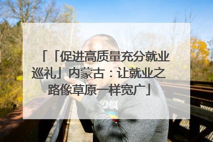 「促进高质量充分就业巡礼」内蒙古：让就业之路像草原一样宽广