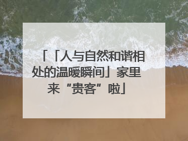 「人与自然和谐相处的温暖瞬间」家里来“贵客”啦