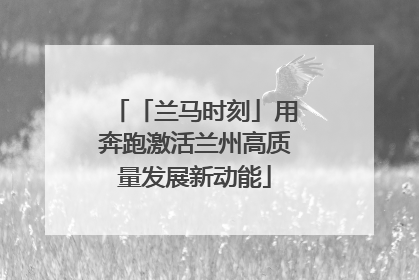 「兰马时刻」用奔跑激活兰州高质量发展新动能