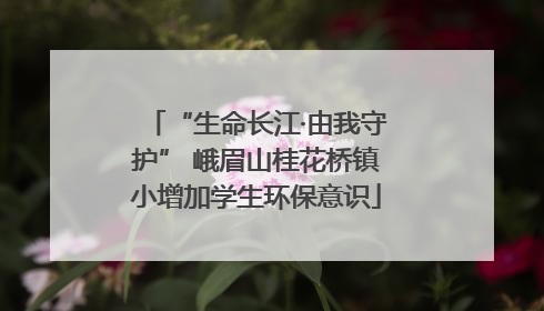 “生命长江·由我守护” 峨眉山桂花桥镇小增加学生环保意识