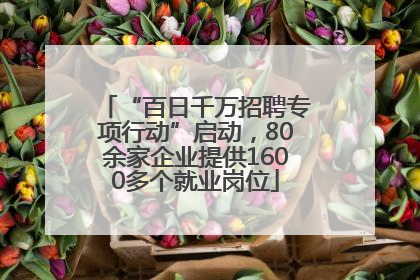 “百日千万招聘专项行动”启动，80余家企业提供1600多个就业岗位
