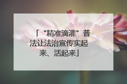 “精准滴灌”普法让法治宣传实起来、活起来