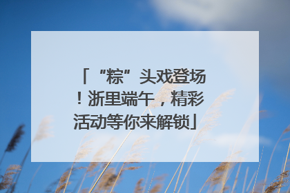 “粽”头戏登场！浙里端午，精彩活动等你来解锁
