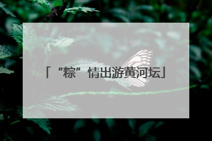 “粽”情出游黄河坛