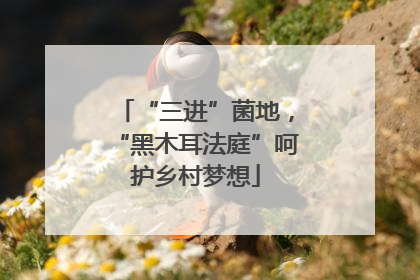 “三进”菌地，“黑木耳法庭”呵护乡村梦想