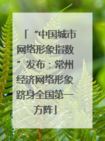 “中国城市网络形象指数”发布：常州经济网络形象跻身全国第一方阵