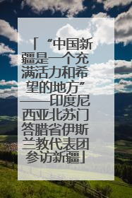 “中国新疆是一个充满活力和希望的地方”——印度尼西亚北苏门答腊省伊斯兰教代表团参访新疆