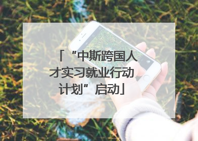“中斯跨国人才实习就业行动计划”启动