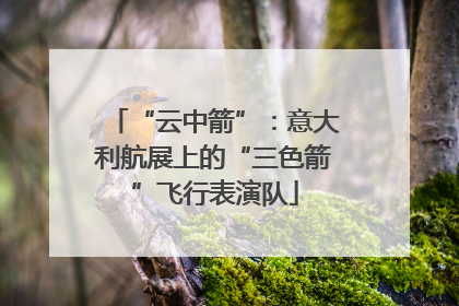 “云中箭”：意大利航展上的“三色箭”飞行表演队