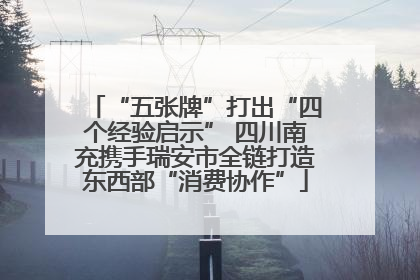 “五张牌”打出“四个经验启示” 四川南充携手瑞安市全链打造东西部“消费协作”