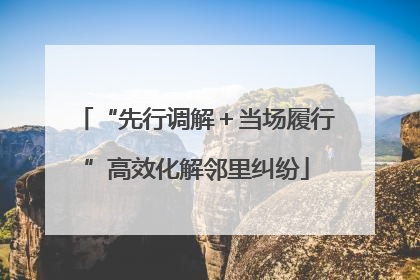 “先行调解＋当场履行”高效化解邻里纠纷
