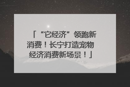 “它经济”领跑新消费！长宁打造宠物经济消费新场景！