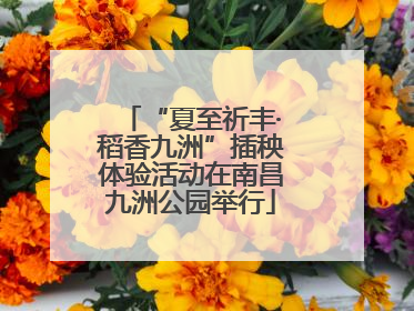 “夏至祈丰·稻香九洲”插秧体验活动在南昌九洲公园举行