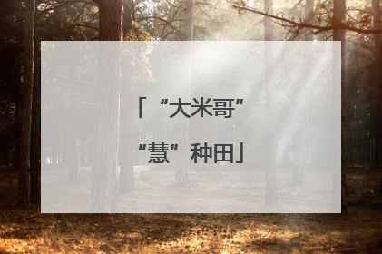 “大米哥”“慧”种田