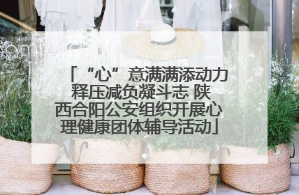 “心”意满满添动力 释压减负凝斗志 陕西合阳公安组织开展心理健康团体辅导活动