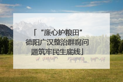 “廉心护粮田” 德阳广汉整治群腐问题筑牢民生底线