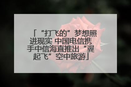 “打飞的”梦想照进现实 中国电信携手中信海直推出“翼起飞”空中旅游