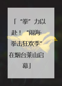 “拳”力以赴！“闹海·拳击狂欢季”在烟台莱山启幕