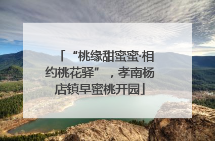 “桃缘甜蜜蜜·相约桃花驿”，孝南杨店镇早蜜桃开园