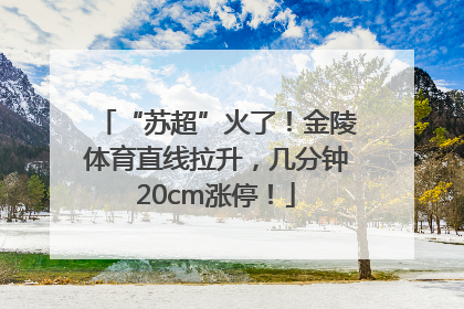 “苏超”火了！金陵体育直线拉升，几分钟20cm涨停！
