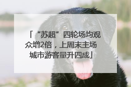 “苏超”四轮场均观众增2倍，上周末主场城市游客量升四成