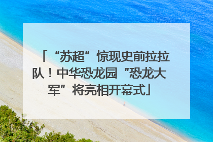 “苏超”惊现史前拉拉队！中华恐龙园“恐龙大军”将亮相开幕式
