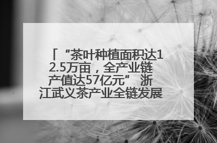 “茶叶种植面积达12.5万亩，全产业链产值达57亿元” 浙江武义茶产业全链发展“加速度”