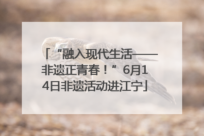 “融入现代生活——非遗正青春！”6月14日非遗活动进江宁
