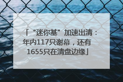 “迷你基”加速出清：年内117只谢幕，还有1655只在清盘边缘
