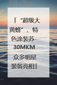 “超级大黄蜂”、特色涂装苏-30MKM 众多明星装备亮相
