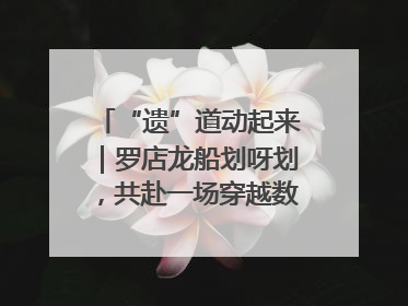 “遗”道动起来｜罗店龙船划呀划，共赴一场穿越数百年的端午之约