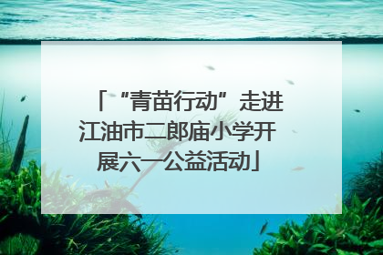 “青苗行动”走进江油市二郎庙小学开展六一公益活动