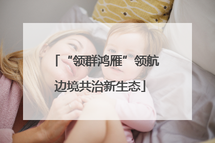 “领群鸿雁”领航边境共治新生态