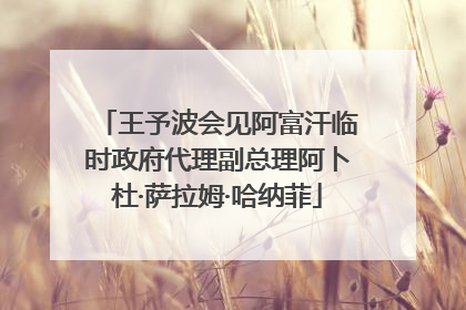 王予波会见阿富汗临时政府代理副总理阿卜杜·萨拉姆·哈纳菲