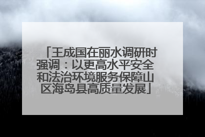 王成国在丽水调研时强调：以更高水平安全和法治环境服务保障山区海岛县高质量发展