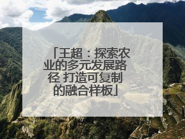 王超：探索农业的多元发展路径 打造可复制的融合样板