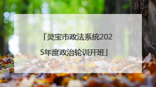 灵宝市政法系统2025年度政治轮训开班