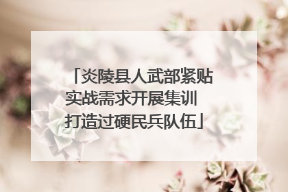 炎陵县人武部紧贴实战需求开展集训 打造过硬民兵队伍