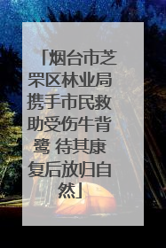 烟台市芝罘区林业局携手市民救助受伤牛背鹭 待其康复后放归自然