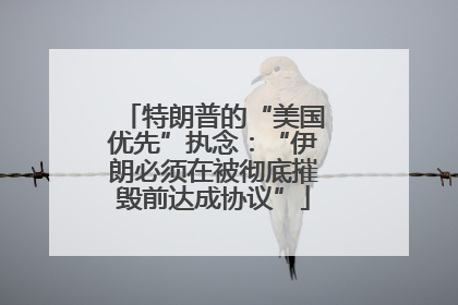 特朗普的“美国优先”执念：“伊朗必须在被彻底摧毁前达成协议”