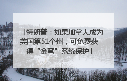 特朗普：如果加拿大成为美国第51个州，可免费获得“金穹”系统保护