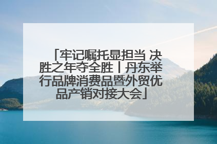 牢记嘱托显担当 决胜之年夺全胜丨丹东举行品牌消费品暨外贸优品产销对接大会