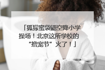 狐獴蜜袋鼯空降小学操场！北京这所学校的“撸宠节”火了！