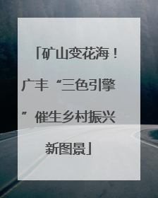 矿山变花海！广丰“三色引擎”催生乡村振兴新图景