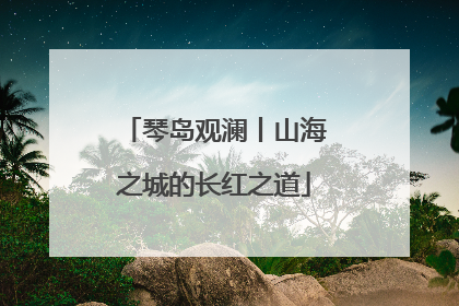 琴岛观澜丨山海之城的长红之道