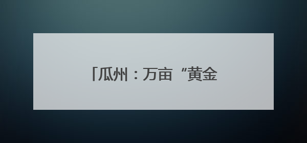 瓜州：万亩“黄金草”迎来丰收季