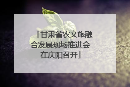 甘肃省农文旅融合发展现场推进会在庆阳召开