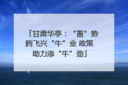 甘肃华亭：“畜”势腾飞兴“牛”业 政策助力添“牛”劲